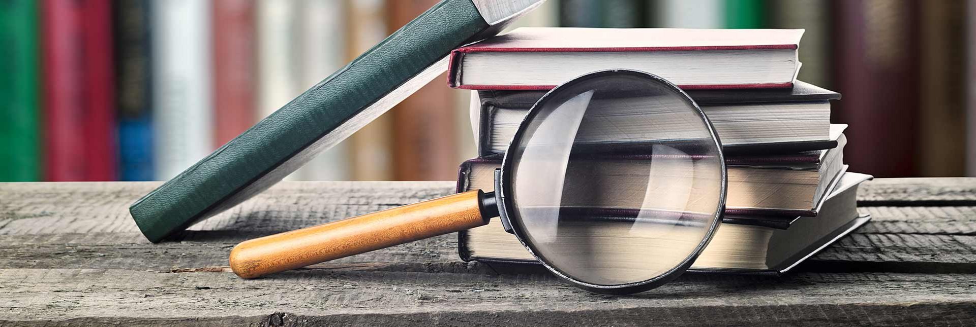 Wissensratgeber von Holz Mandt Wissensratgeber